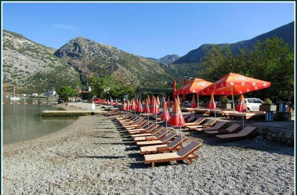 Pavle Apartmani Risan Exteriör bild